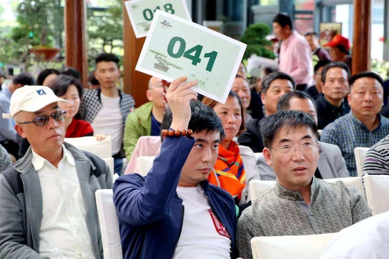 西湖春季大型盆景/賞石精品拍賣(mài)會(huì)